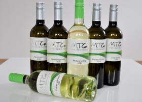 Selektion Weißweine Weingut Kranixfeld Weißweine